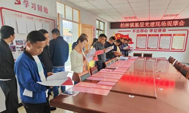 林泉村民委员会最新项目启动，乡村振兴新篇章开启