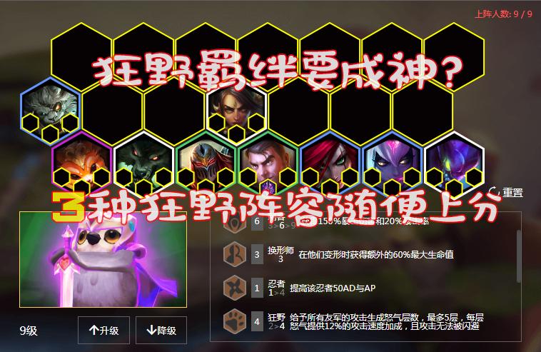 最新狮子狗版本深度解析与体验分享