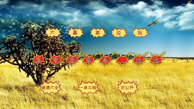 4949开奖免费资料澳门,优秀释义解释落实_自由集77.65
