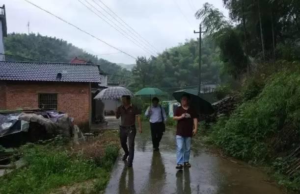 沐尘畲族乡迈向繁荣和谐新时代的最新发展规划