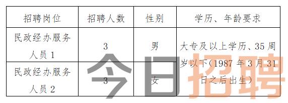 浦贝乡最新招聘信息概览，求职者的必读指南