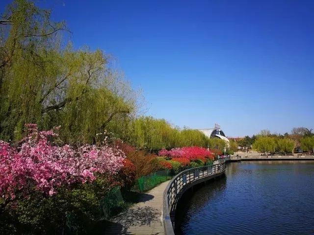 李沧区应急管理局现代化应急管理体系构建规划发布