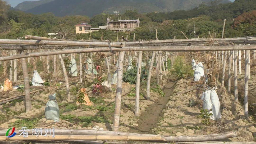 下巴塘村的最新天气预报更新通知