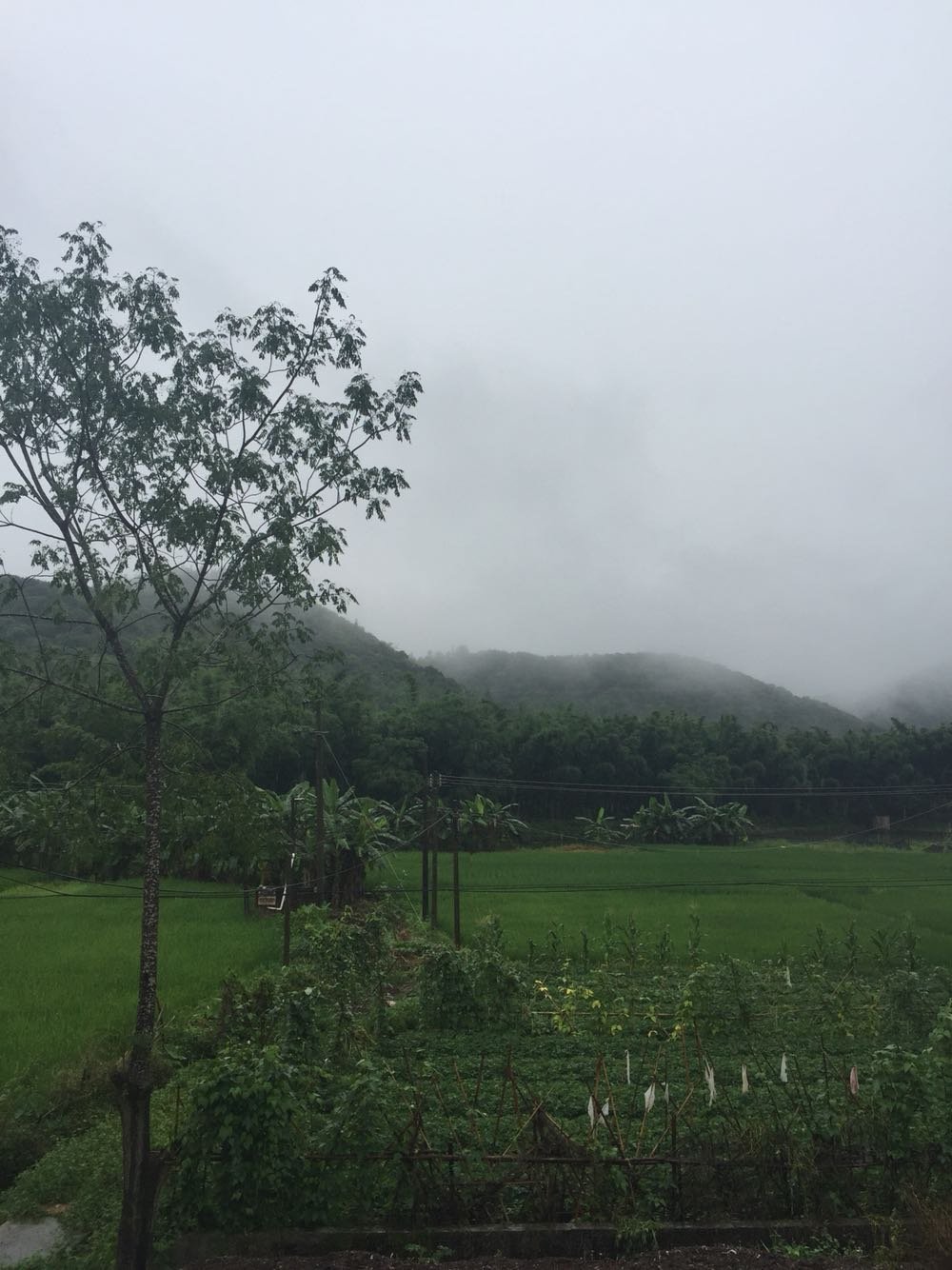 雨顺村委会最新天气预报通知